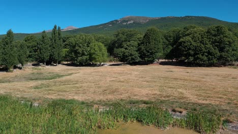 Rückflug-Auf-Einer-Wiese-Im-Sommer-Mit-Pappeln-Und-Kastanien-Im-Vordergrund,-Entdeckung-Eines-Wasserbeckens-Mit-Wasserpflanzen-Und-Einem-Hintergrund-Aus-Einem-Schönen-Schnurrbart-Mit-Blauem-Himmel