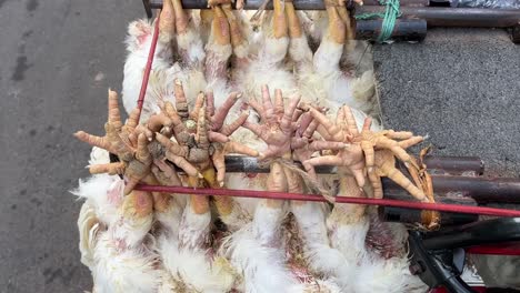 Living-Chicken-legs-tied-and-hung-upside-down-at-a-bike-in-Kolkata,-India