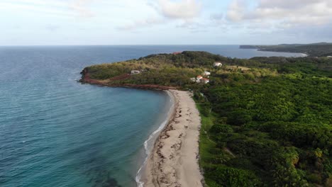 Levera-beach-in-grenada-with-lush-greenery-and-clear-waters,-early-morning-light,-aerial-view