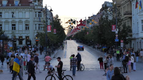 Menschenmenge-Beginnt-Sich-In-Gediminas-Avenue-Hauptstraße-Regierungsviertel-Zu-Versammeln