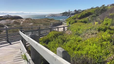 Ein-Holzsteg-Führt-Hinunter-Zum-Meer-Am-Boulders-Beach-In-Simons-Town,-Südafrika