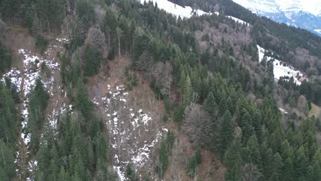 Fronalpstock-Glarus-Schweiz-Luftaufnahme-Des-Waldes-Rotierenden-Glatten