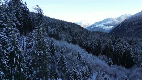 Obersee-Glarus-Schweiz-Tiefflug-über-Waldtal-In-Den-Alpen
