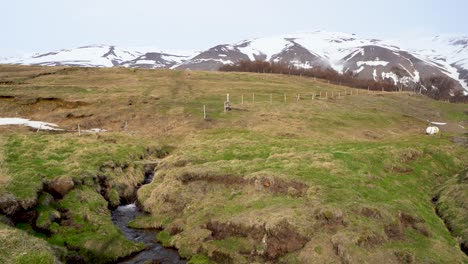 Lush-green-Icelandic-landscape-with-small-stream,-snow-capped-mountains-in-the-backdrop,-under-cloudy-skies