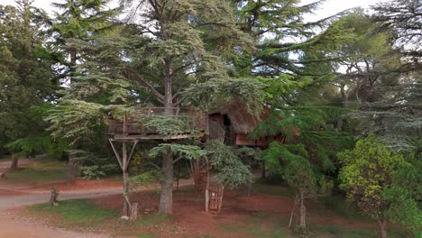 Treehouse-in-the-Domaine-St-Jean-de-l'Arbousier