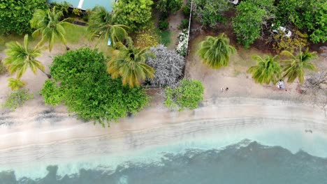 Strand-Von-Lance-Aux-Epines-In-Grenada,-Klares-Wasser-Plätschert-Sanft-An-Den-Sandstrand,-Umgeben-Von-üppigem-Grün,-Luftaufnahme