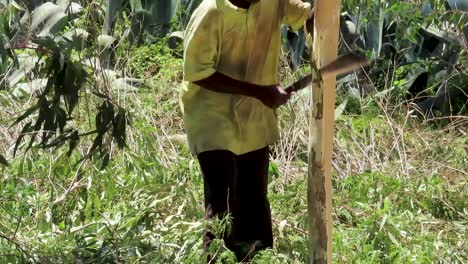 Deforestation,-Close-up-of-a-young-black-man-remove-tree-bark-from-a-log-with-a-panga