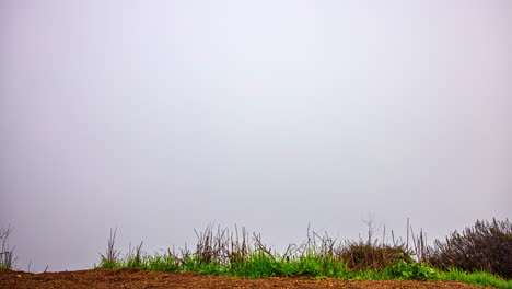 Disparo-De-Lapso-De-Tiempo-Desde-El-Mirador-De-La-Niebla-Que-Envuelve-El-Puente-Golden-Gate