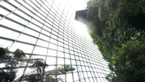 Cúpula-Del-Bosque-Nuboso-En-Los-Jardines-Junto-A-La-Bahía-En-El-Centro-De-Singapur