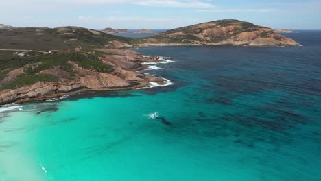 Thistle-Cove-Cerca-De-Lucky-Bay,-Australia-Occidental,-Se-Ven-Dos-Ballenas-Jugando-Cerca-De-La-Orilla