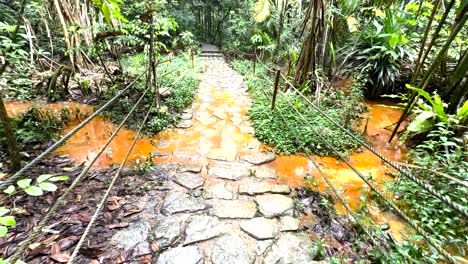 Pebbled-Walkway-Along-With-The-Creek-In-Windsor-Nature-Park,-Singapore