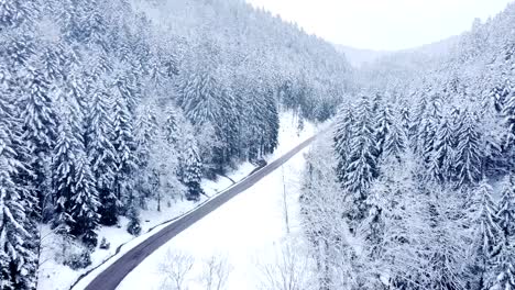 Luftige-Winterlandschaft-Mit-Schneebedeckten-Immergrünen-Bäumen-Entlang-Einer-Ländlichen-Bergstraße