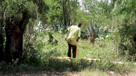 Young-black-man-remove-tree-bark-from-a-log-with-a-panga