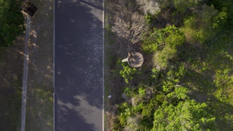 Aerial-view-of-osprey-in-manmade-nest-along-walking-path-in-suburban-woodlands