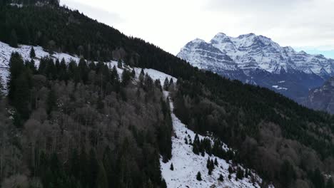 Fronalpstock-Glarus-Schweiz-Dunklen-Wald-Oben-In-Den-Bergen-Antenne