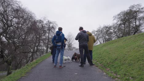 Gruppe-Von-Menschen-Im-Gespräch-Und-Ihre-Hunde-Im-Park