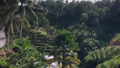 Tegallalang-Reisterrassen-Restaurant,-Speisen-Mit-Panoramablick-Auf-Grüne-Landschaften