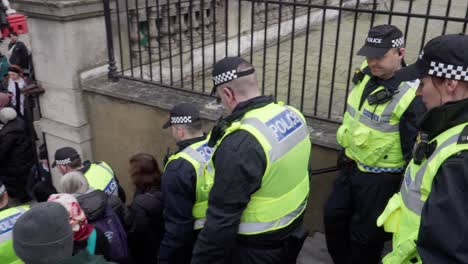 Polizeipräsenz-Bei-Palästina-Israel-Protest