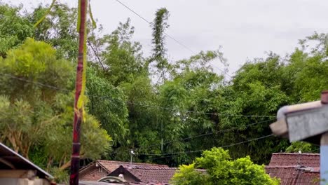 Starker-Wind-Im-Regen-Vor-Der-Terrasse-Des-Hauses