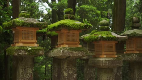 Reihe-Von-Moos-Bedeckten-Stein-Goldenen-Laternen-Des-Kasugataisha-Schreins-Im-Nara-öffentlichen-Park