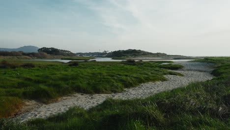 Ruhige-Küstenstrand-Dünenlandschaft-Mit-Graswegen-In-Portugal