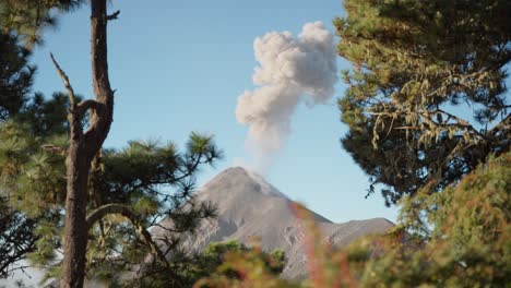 Morning-view-of-Fuego-Volcano,-Guatemala,-with-a-towering-ash-plume-framed-by-lush-vegetation