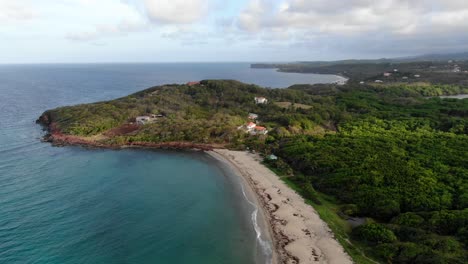 Levera-beach-in-grenada-with-lush-foliage-and-clear-waters,-aerial-view