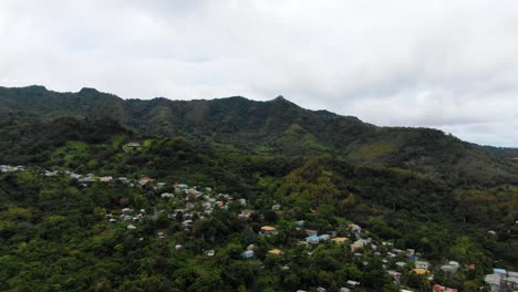 Exuberante-Selva-Tropical-De-Granada-Con-Casas-Dispersas,-Vista-Aérea