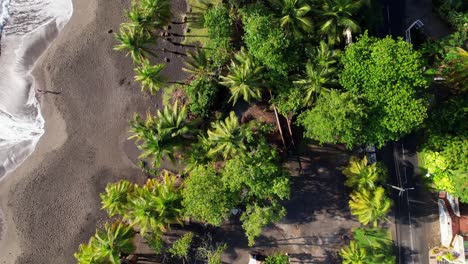 Playa-Tropical-Grande-Anse-Con-Palmeras-En-Guadalupe,-Vista-Aérea-Hacia-Abajo