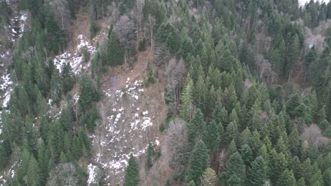 Fronalpstock-Glarus-Schweiz-Luftbildflug-In-Der-Nähe-Von-Bergwaldbäumen