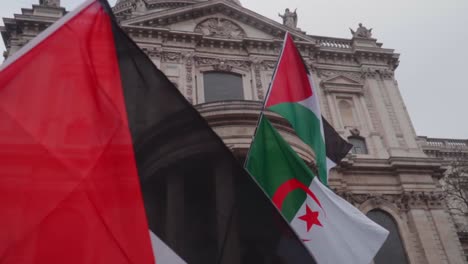 Large-Palestine-and-Algeria-Flags-at-Pro-Palestine-Protest-Outside-St