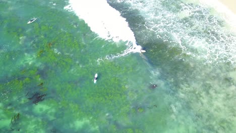 4K-Aerial-Birds-Eye-View-of-Surfers-in-Laguna-Beach,-California-Riding-Waves-on-a-Warm-Sunny-Day-with-Crystal-Clear-Water
