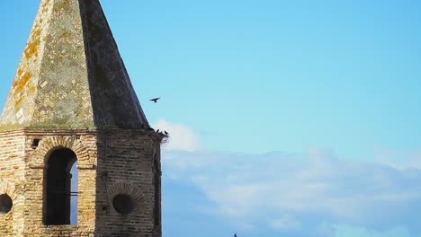 Toma-Estática-De-La-Torre-De-La-Iglesia-En-Medina-sidonia-Con-Pájaros-Volando-Hacia-El-Nido-En-La-Parte-Superior-De-La-Torre-Del-Reloj