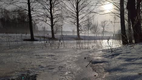 Dreamy-winter-landscape,-misty-frozen-stream-scenery