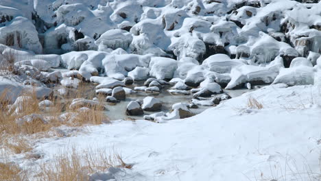 Small-stream-in-the-frozen-river-bed