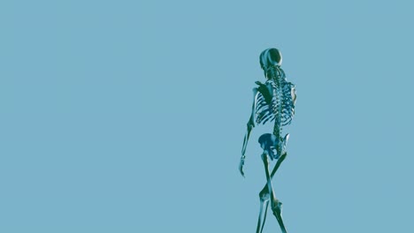 Esqueleto-Hablando---Teléfono---Celular-