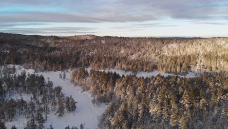 Panorama-Eines-Winterwaldes-Bei-Sonnenuntergang-In-Norwegen