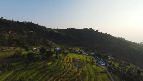 Terrace-agricultural-field-in-elevated-Nepal-hillside