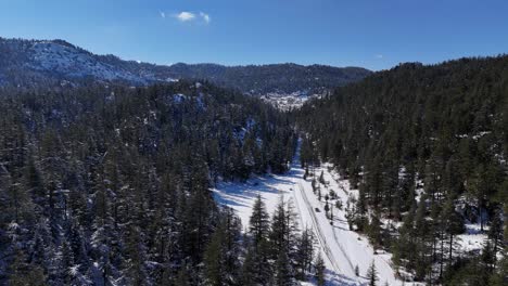 Drohnenansicht-Von-Landstraßen-Zwischen-Schneebedeckten-Wäldern