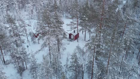 Winter-Spruce-Forest-With-Isolated-Cabin-Woods