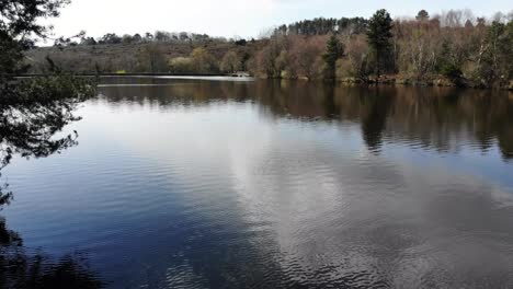 Calm-Reflective-Squabmoor-Reservoir-Located-In-Woodbury-Common,-East-Devon