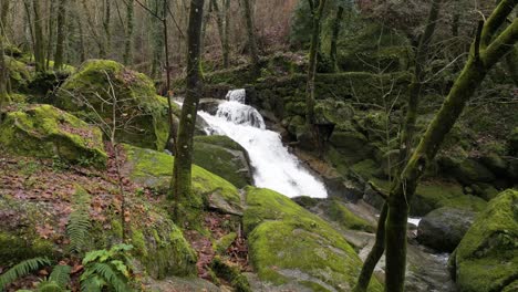 Moss-covered-rocks-at-Felgueiras-waterfall---aerial-through-the-woods