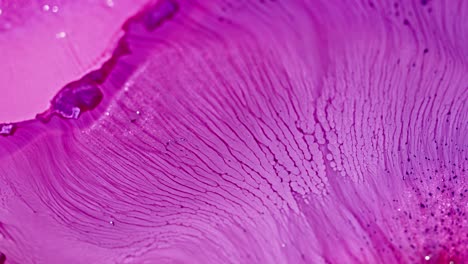 Nahaufnahme-Von-Violetter-Tinte,-Die-Sich-Im-Wasser-Auflöst-Und-Abstrakte-Muster-Erzeugt