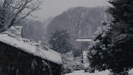 Nieve-Cayendo-Junto-A-La-Casa-Y-El-árbol-En-El-Día-De-Invierno