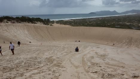 adult-man-descends-sitting-on-a-sandboard-on-the-dunes-of-Joaquina-beach,-back-view