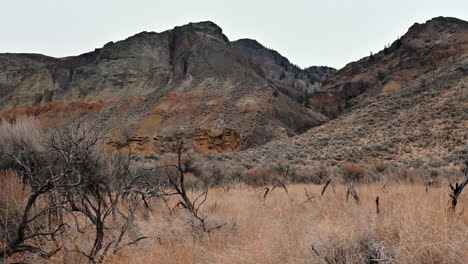 Vista-Aérea-De-Las-Agujas-Volcánicas-De-Canela-Ridge