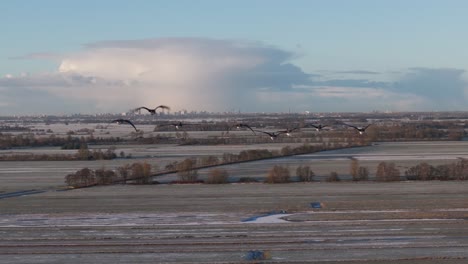 Vogelschwarm-Fliegt-über-Malerisches-Holländisches-Ackerland,-Nahaufnahme-Einer-Luftaufnahme,-Launische-Wolken,-Haastrecht,-Niederlande