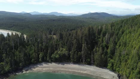 Beautiful-Scenic-Views-Over-Woodland-Forest-at-Moresby-Island-in-Canada-with-a-Tilt-Down-Shot-Revealing-Beach