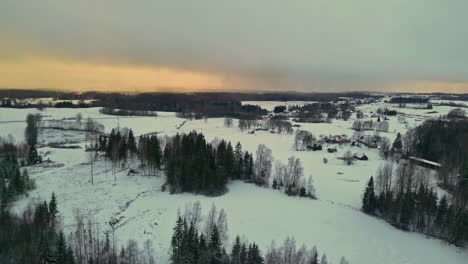 Luftaufnahme-Eines-Waldes-Aus-Der-Natur,-Der-Mit-Weißem-Schnee-Bedeckt-Ist,-Ländliche-Wälder-Im-Winter