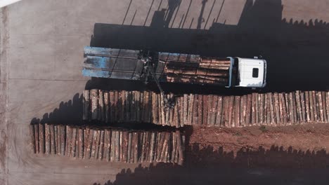 Truck-Unloading-And-Piling-Logs-At-Sawmill